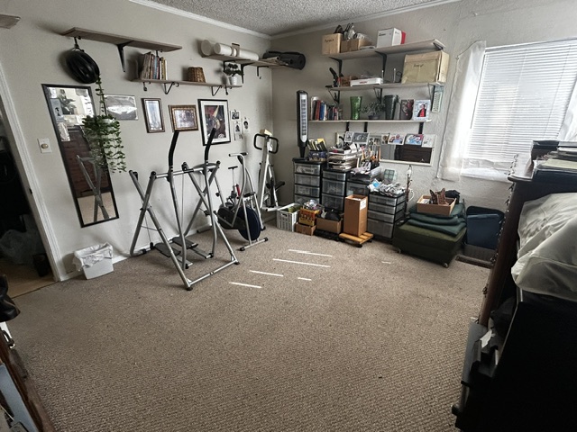 Garage Organization after