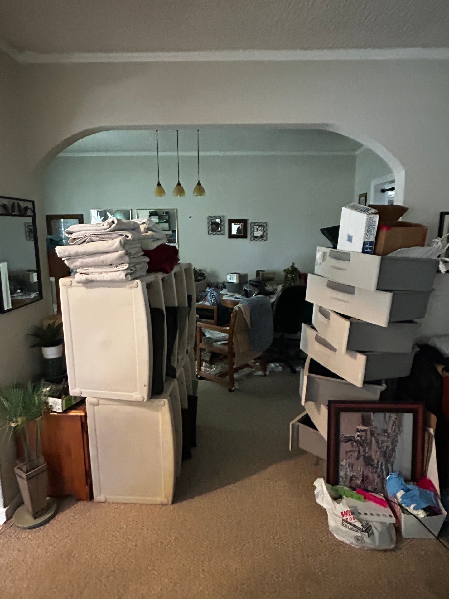 Home Organization  before