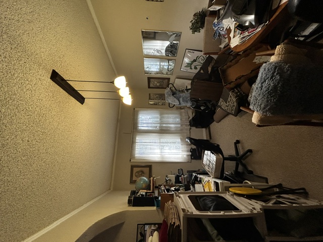 Full Apartment Organization, Cleaning and Furniture Assembly after