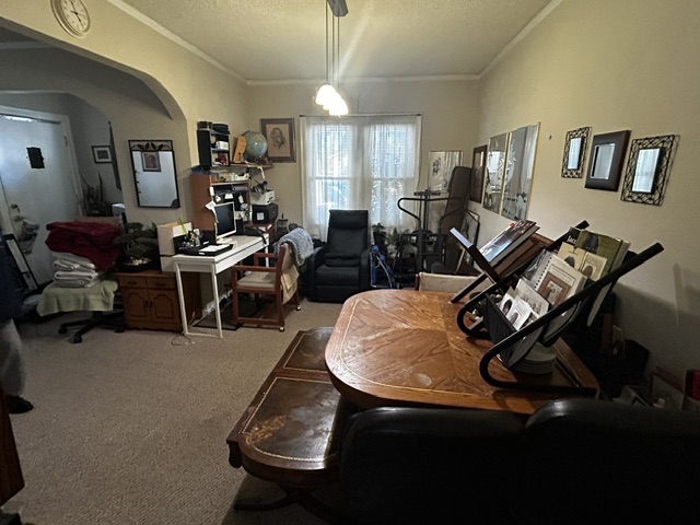 Full Apartment Organization, Packing and Moving Assistance after